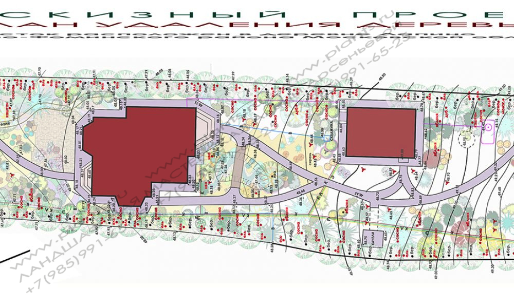 Дизайн дачного участка - план удаления деревьев